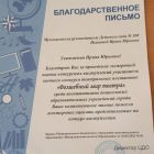 Благодарность члена Жюри.jpg